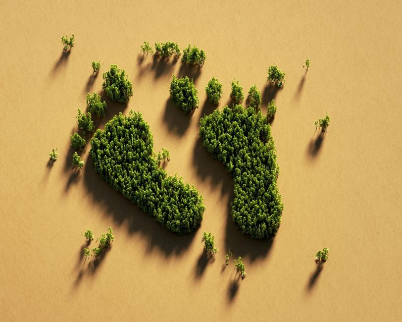 Un projet de décarbonation de la chaîne d'approvisionnement outdoor mené par EOG