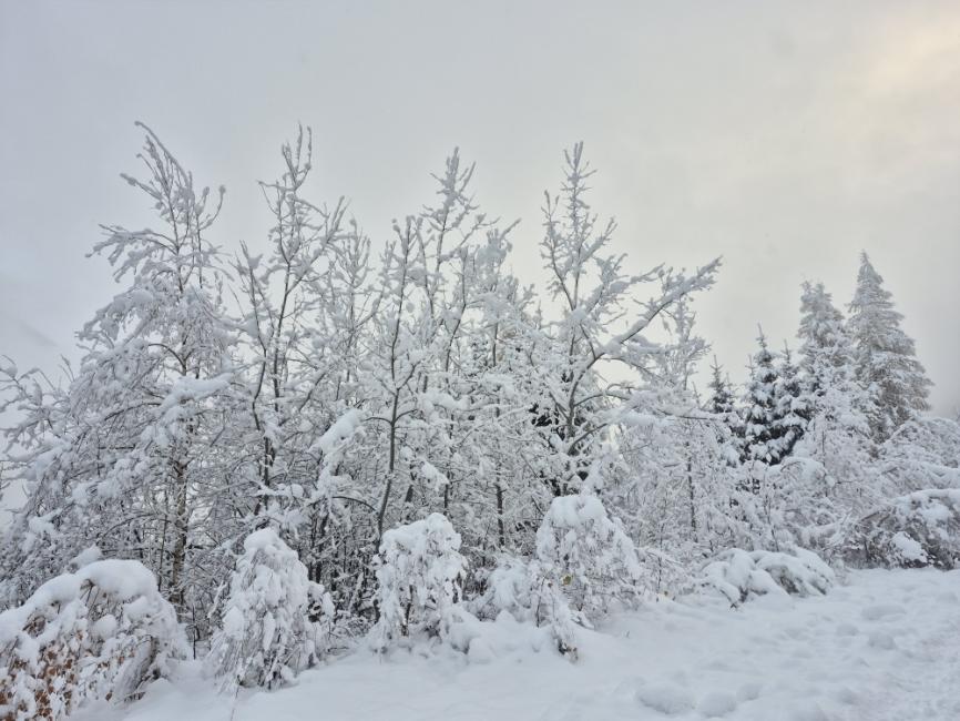 Conjoncture sport : novembre 2025