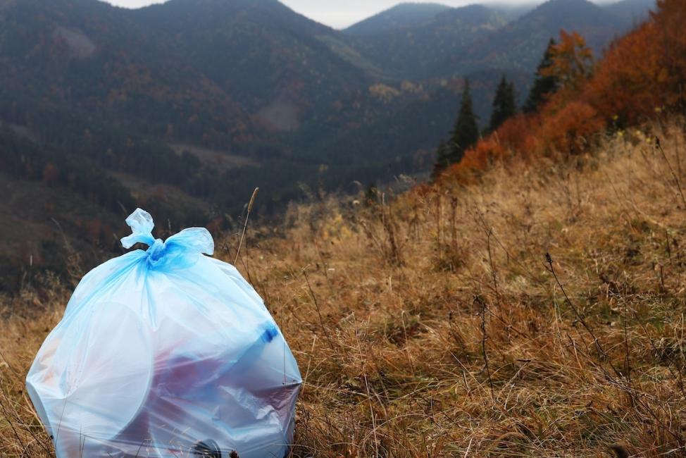 Un quart de siècle pour Mountain Riders