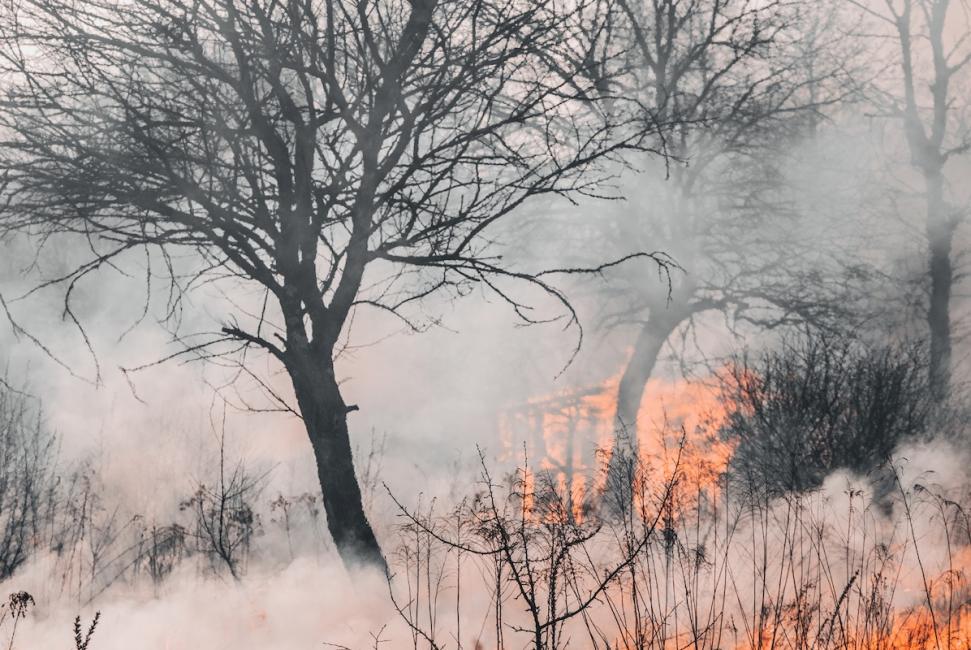 L'impact déjà réel des incendies pour les entreprises de sport et de loisirs