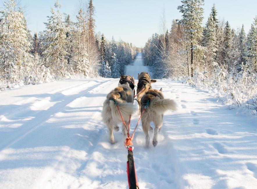 Quelles activités sportives plébiscitées pendant les vacances de Noël ?