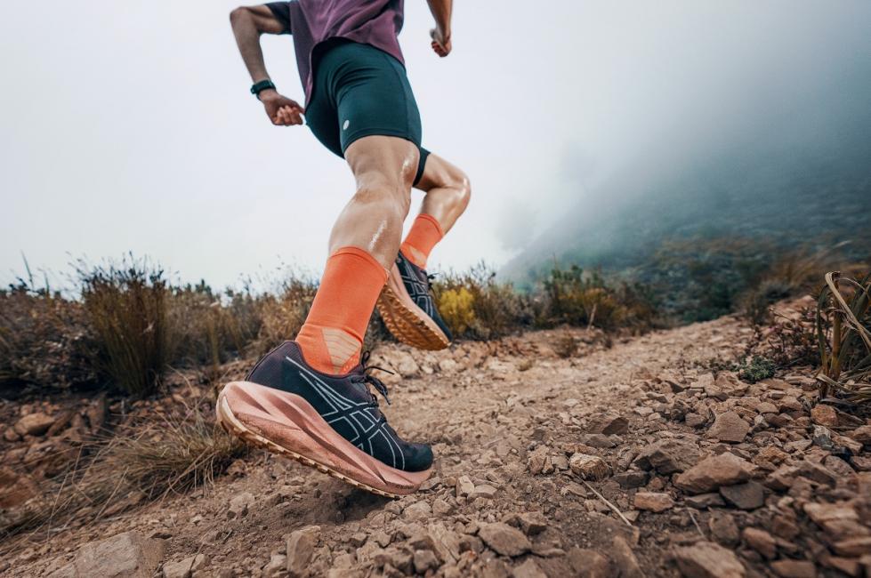 Asics : 1er semestre 2026