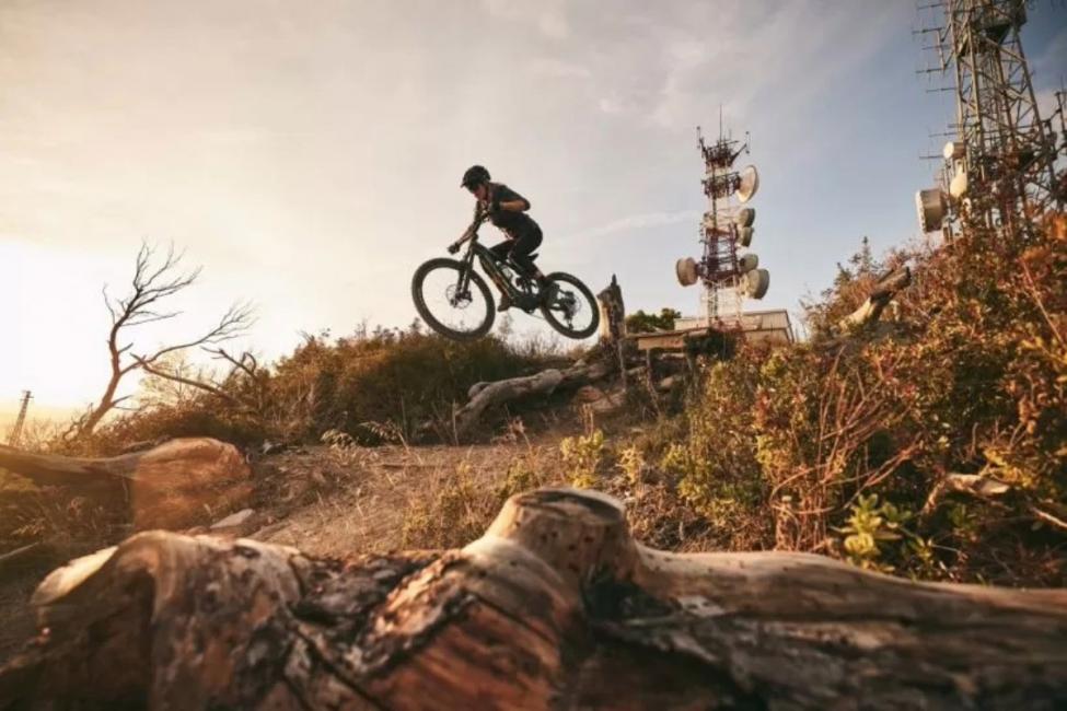 Giant rechute au second trimestre 2025