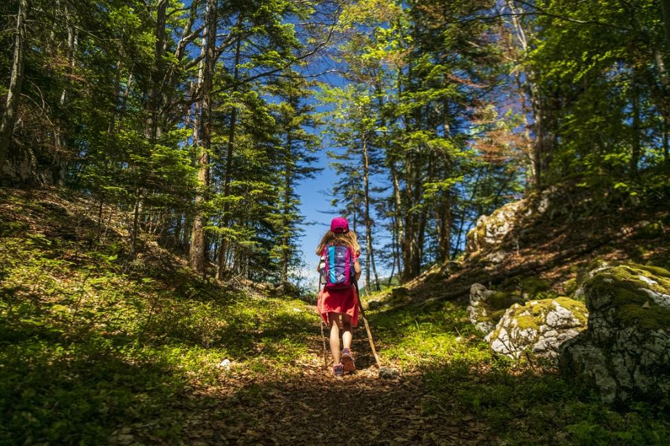 Baromètre « Les projets des Français pour leurs vacances d’été »