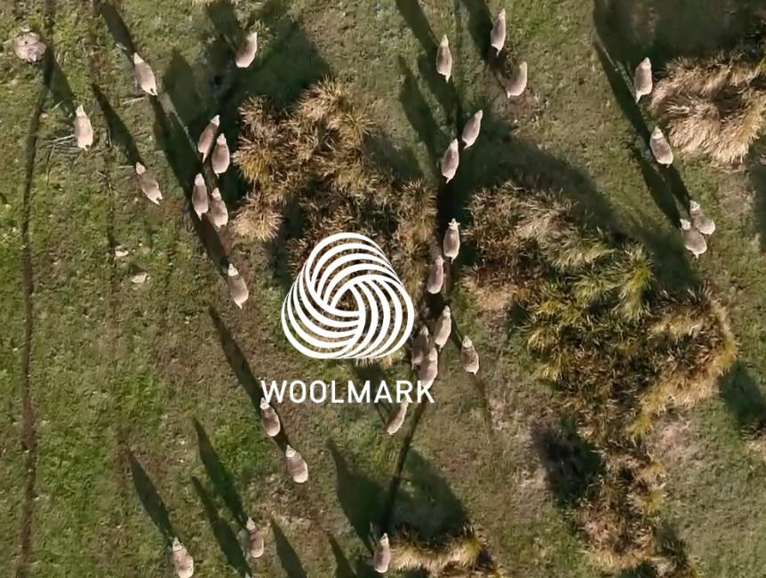Woolmark veut accompagner ses partenaires de la fibre au produit fini