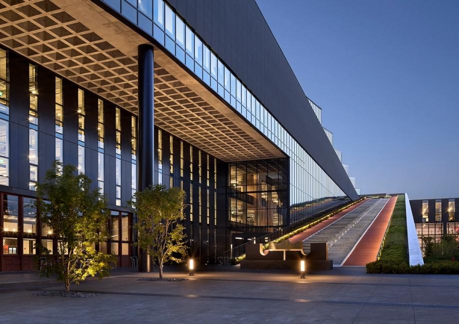 Une nouvelle directrice du développement durable chez Nike