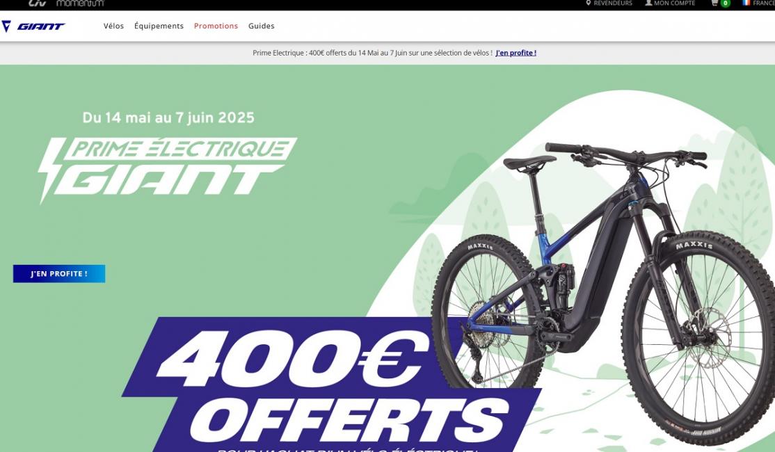 Giant : 1er trimestre 2025