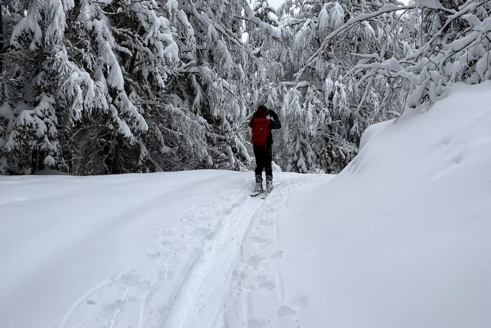 Une saison hivernale 2025/2026 de bon augure