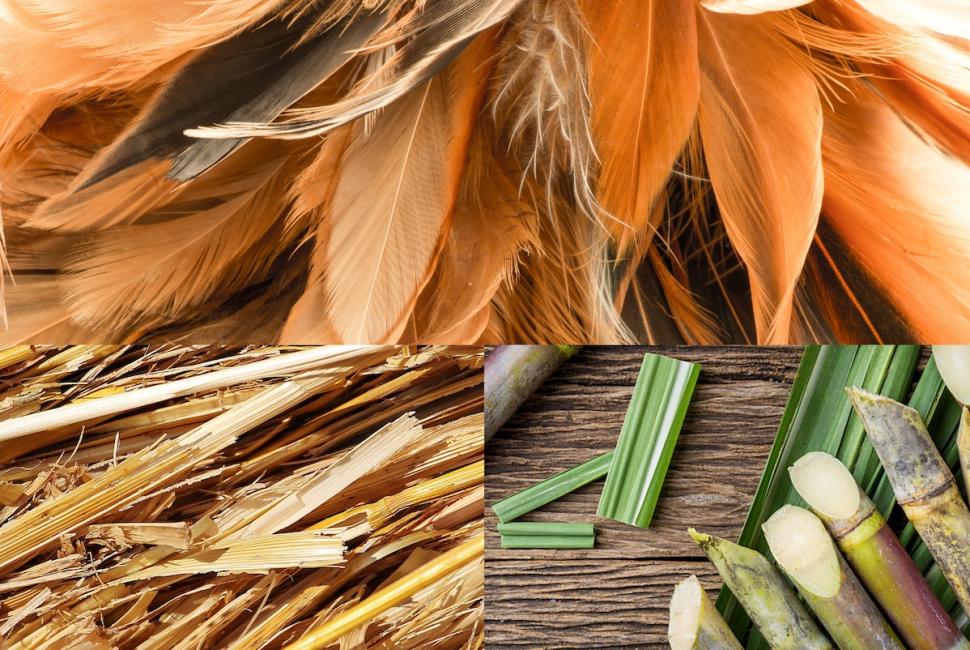 Des déchets agricoles transformés en fibres textiles