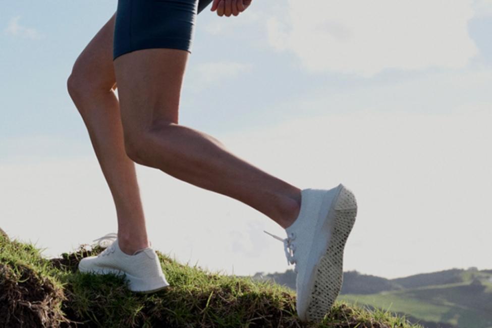 Allbirds cède ses actifs à American Exchange Group